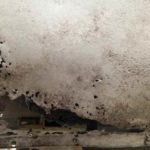 Cforcar Facel Vega Restoration 1 830
